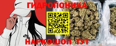 дмт Малгобек